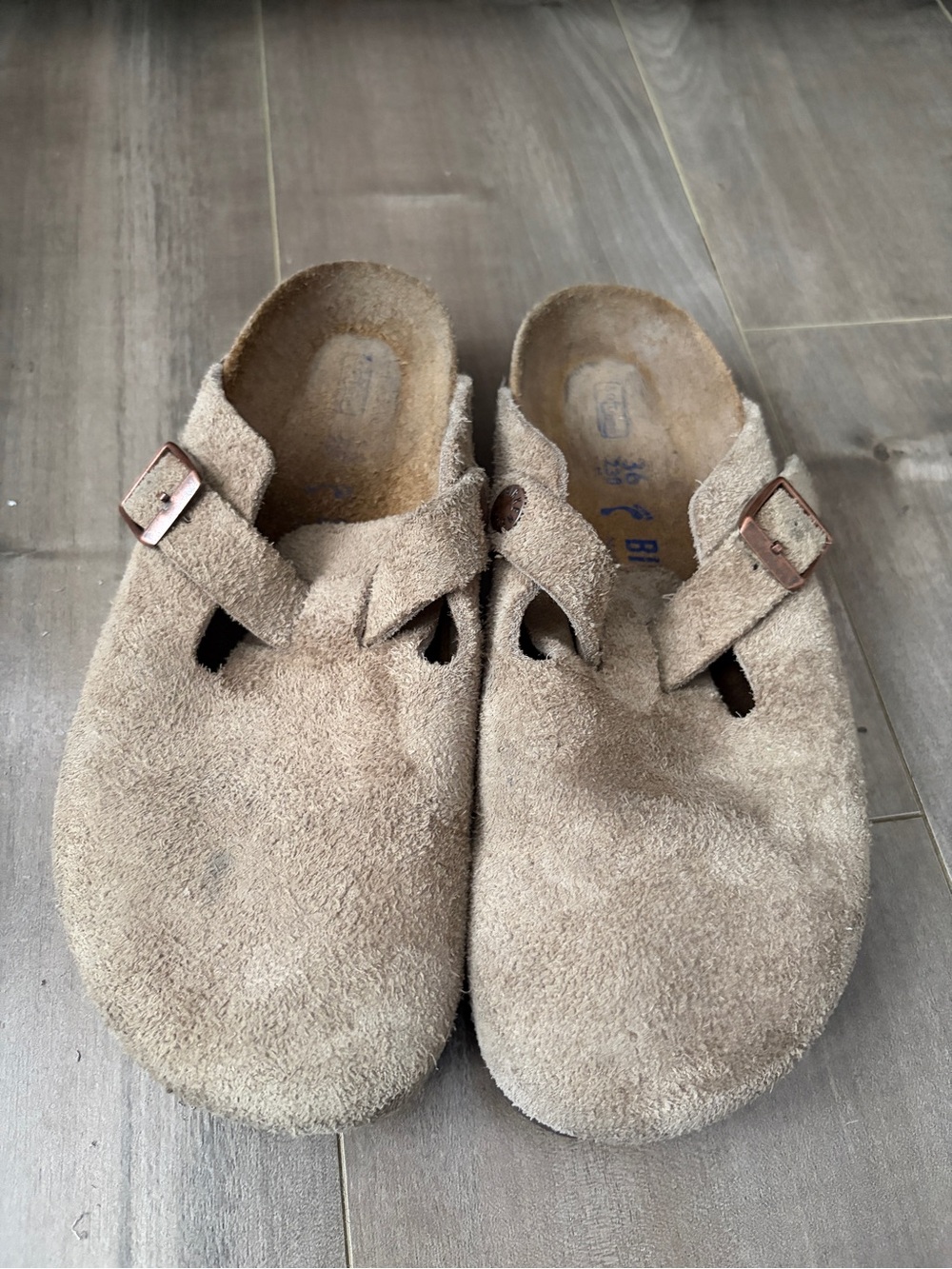 Birkenstock Suede Clog Sandstone Taupe with Buckle